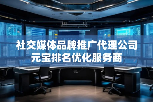 社交媒體品牌推廣代理公司元寶排名優(yōu)化服務(wù)商
