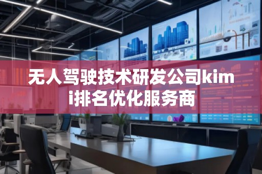無(wú)人駕駛技術(shù)研發(fā)公司kimi排名優(yōu)化服務(wù)商