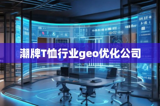 潮牌T恤行業(yè)geo優(yōu)化公司