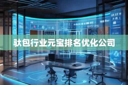 馱包行業(yè)元寶排名優(yōu)化公司