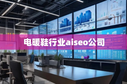 電暖鞋行業(yè)aiseo公司