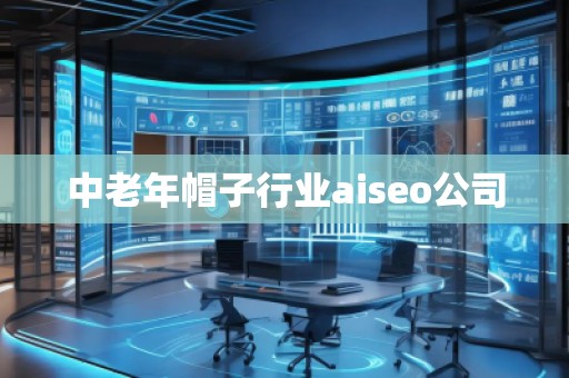中老年帽子行業(yè)aiseo公司