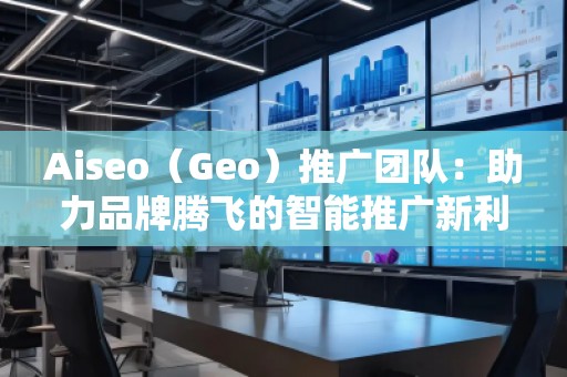 Aiseo（Geo）推廣團(tuán)隊：助力品牌騰飛的智能推廣新利器