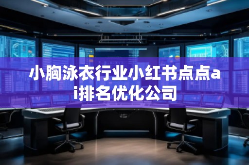 小胸泳衣行業(yè)小紅書點點ai排名優(yōu)化公司