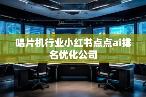 唱片機行業(yè)小紅書點點ai排名優(yōu)化公司