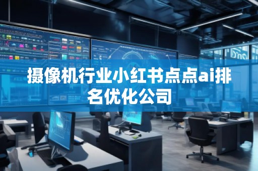 攝像機(jī)行業(yè)小紅書點點ai排名優(yōu)化公司