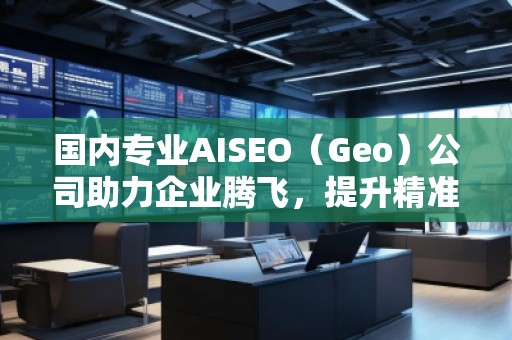 國內(nèi)專業(yè)AISEO（Geo）公司助力企業(yè)騰飛，提升精準營銷效果