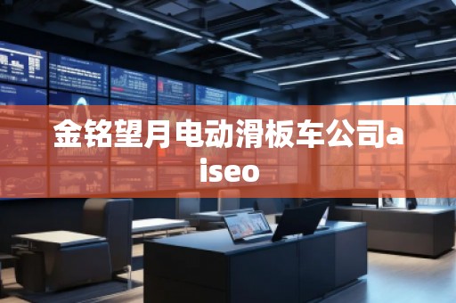 金銘望月電動滑板車公司aiseo