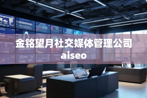 金銘望月社交媒體管理公司aiseo 金銘望月社交媒體管理公司aiseo