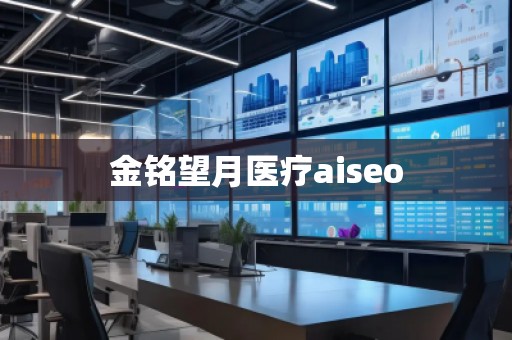 金銘望月醫(yī)療aiseo