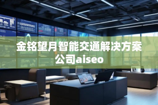 金銘望月智能交通解決方案公司aiseo 金銘望月智能交通解決方案公司aiseo