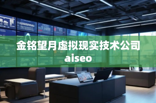 金銘望月虛擬現實技術公司aiseo