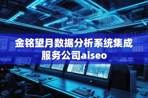 金銘望月數(shù)據(jù)分析系統(tǒng)集成服務(wù)公司aiseo 金銘望月數(shù)據(jù)分析系統(tǒng)集成服務(wù)公司aiseo
