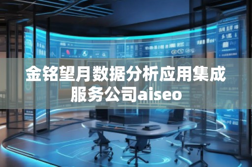 金銘望月數(shù)據(jù)分析應用集成服務公司aiseo