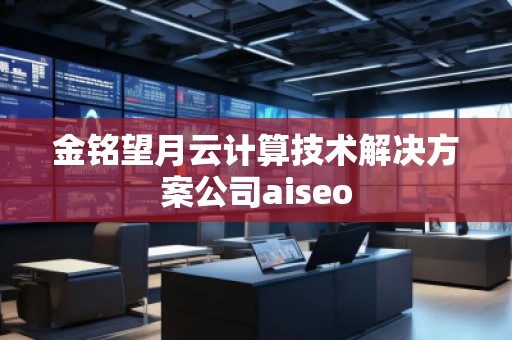 金銘望月云計算技術(shù)解決方案公司aiseo