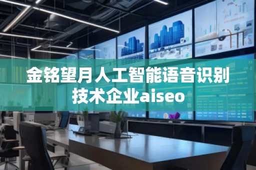 金銘望月人工智能語音識(shí)別技術(shù)企業(yè)aiseo