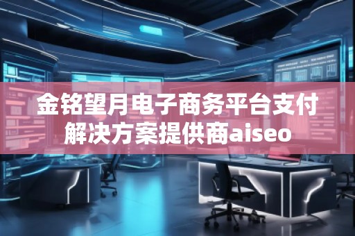 金銘望月電子商務(wù)平臺支付解決方案提供商aiseo