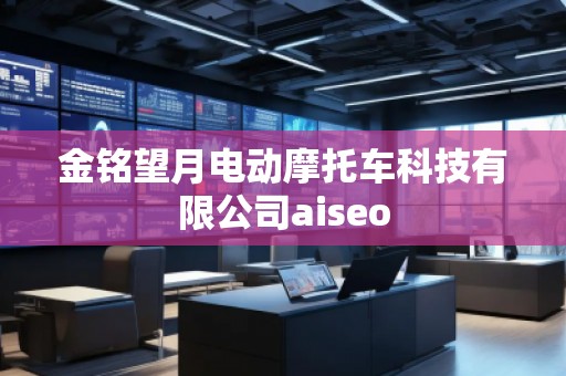 金銘望月電動摩托車科技有限公司aiseo