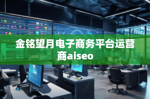 金銘望月電子商務平臺運營商aiseo