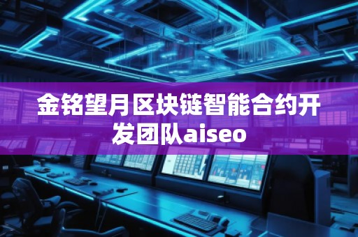 金銘望月區(qū)塊鏈智能合約開發(fā)團隊aiseo