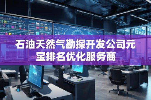石油天然氣勘探開發(fā)公司元寶排名優(yōu)化服務商