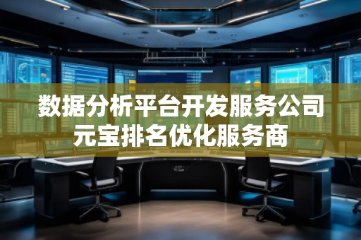 數(shù)據(jù)分析平臺開發(fā)服務(wù)公司元寶排名優(yōu)化服務(wù)商